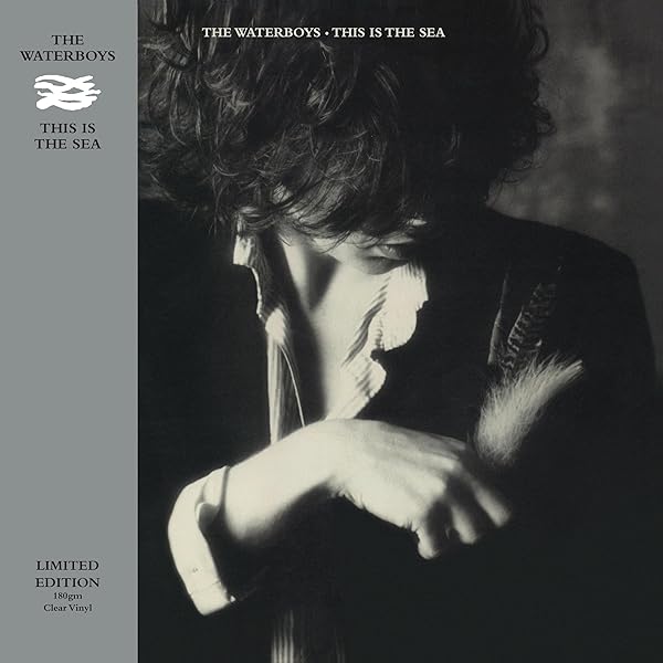 洋楽 THE WATERBOYS / 1985 (Deluxe Edition) 洋楽 THE WATERBOYS / 1985 (Deluxe Edition) Amazon.com: 1985